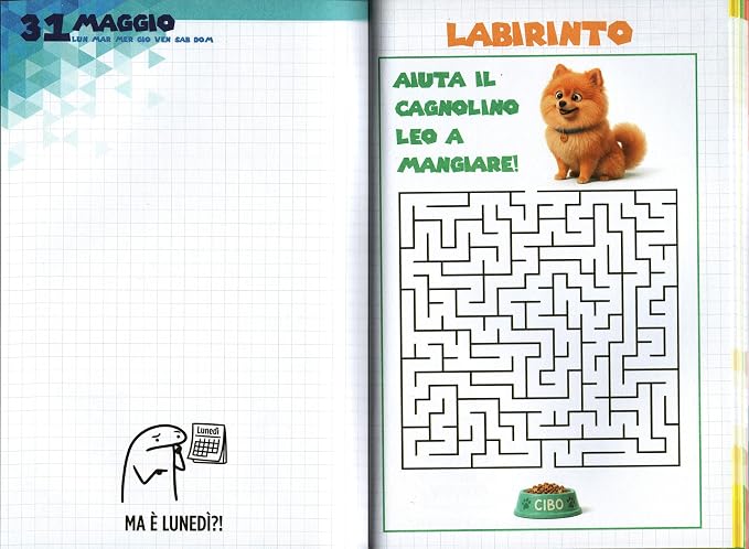 Diario calcio Julian Ross pagine labirinto