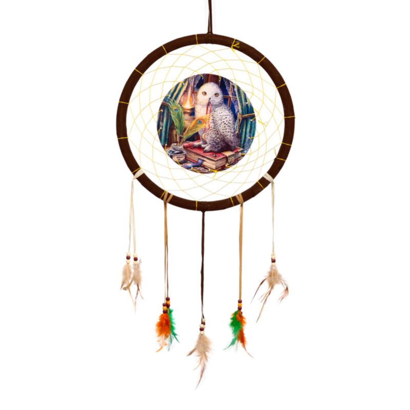 Acchiappasogni decorativo con pappagallo e piume