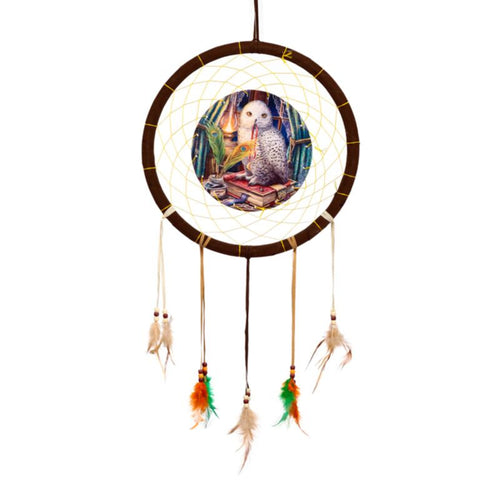 Acchiappasogni decorativo con pappagallo e piume