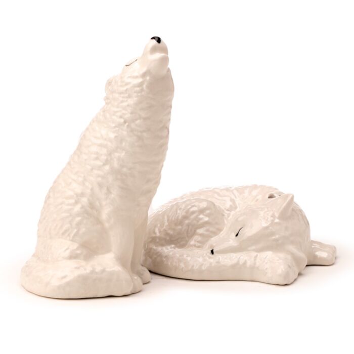 Set Saliera e Pepiera White Wolf